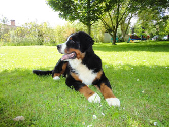 Henry at Seven Months