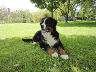 Henry at Seven Months