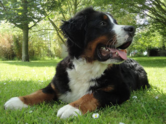 Henry at Seven Months