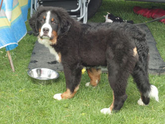 Henry at Six & A Half Months