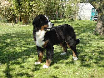 Henry at Six Months