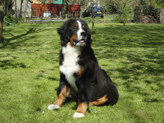 Henry at Six Months