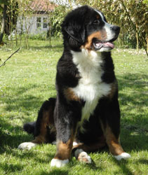 Henry at Six Months