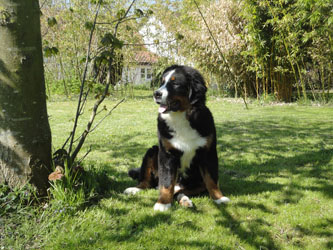 Henry at Six Months