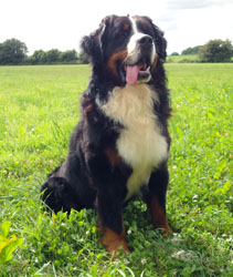Henry at 21 Months Old