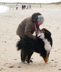 Merlin at Three Years Old