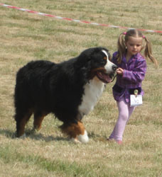 Merlin at 3 3/4 years old