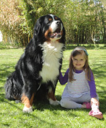 Merlin at 3&frac12; years old