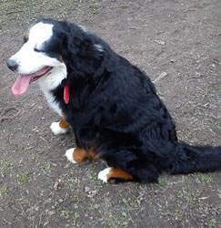 Tia at 15 Months