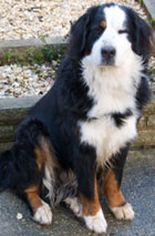 Tia At Two & A Quarter Years Old