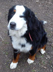 Tia at 15 Months