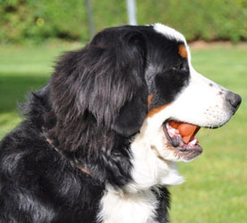 Tia at Seven Months