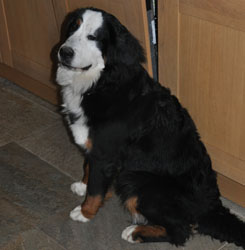 Tia at Nine Months
