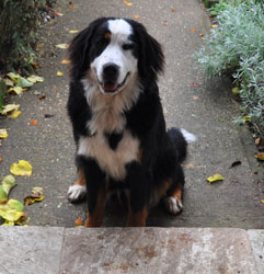 Tia at Nine Months
