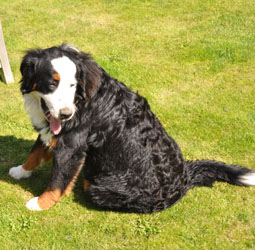 Tia at 8 Months