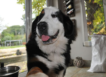 Tia at Nine Months