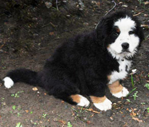 Tia At Two Months