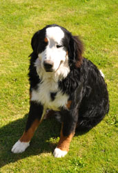 Tia at 8 Months