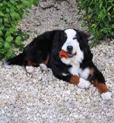 Tia at Seven Months