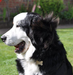 Tia at Seven Months