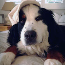 Tia At Two & A Quarter Years Old