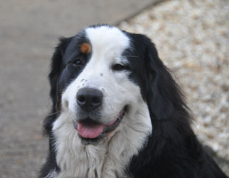 Tia at 12 Months Old