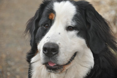Tia at 12 Months Old