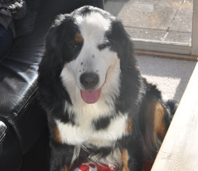 Tia at 11 Months