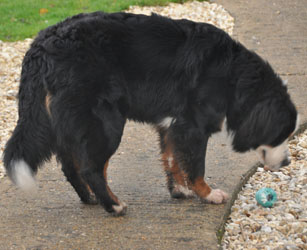Tia at 12 Months Old