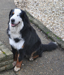 Tia at 12 Months Old
