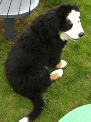 Tia At Three Months