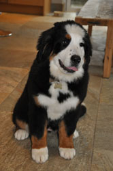 Tia at 4 months