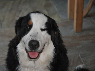 Tia at 11 Months