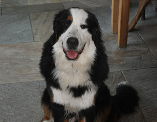 Tia at 11 Months