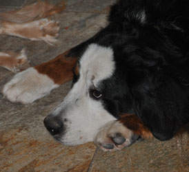 Tia at 10 Months Old
