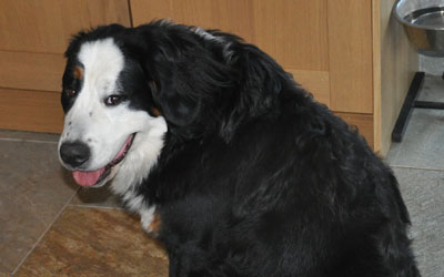 Tia at 11 Months