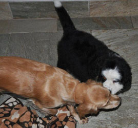 Tia At Two Months