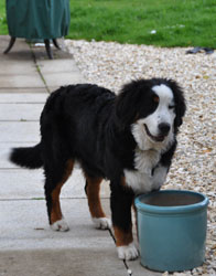 Tia at Six Months
