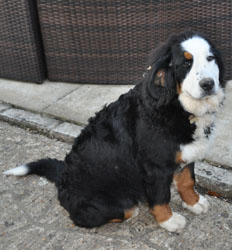 Tia at 5 Months