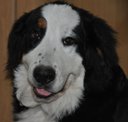 Tia at Six Months