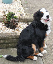 Tia at Six Months