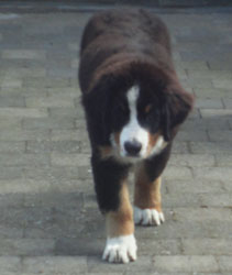 Vera at 16 Weeks