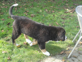 Vera at 16 Weeks