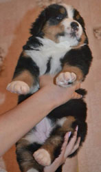 Vera 28 Days Old in Russia