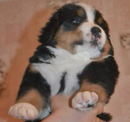 Vera 28 Days Old in Russia