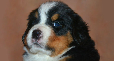 Vera 28 Days Old in Russia