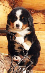 Vera One Month Old in Russia