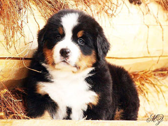 Vera One Month Old in Russia