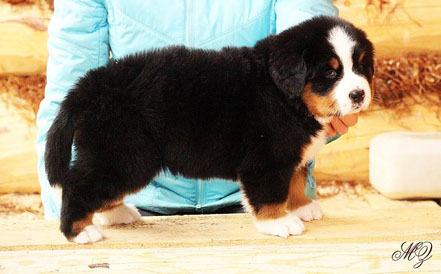 Vera One Month Old in Russia