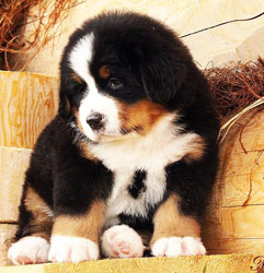 Vera One Month Old in Russia